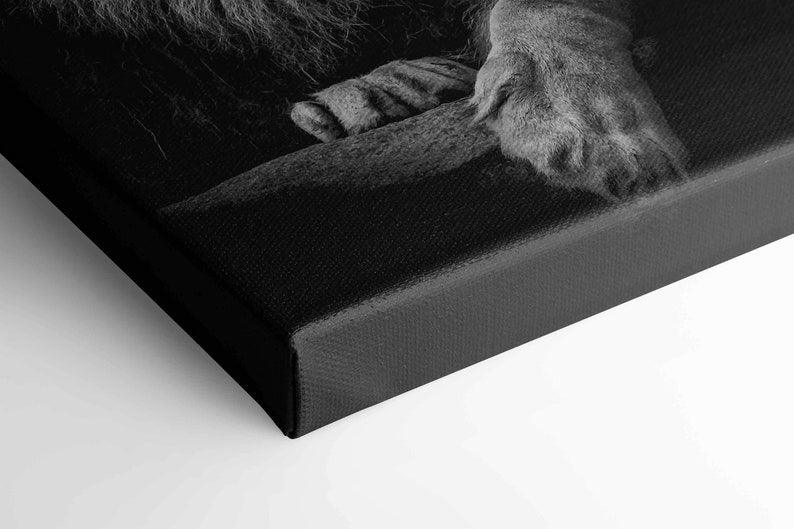 Lion in Black & White | Canvas - DreamBrothers