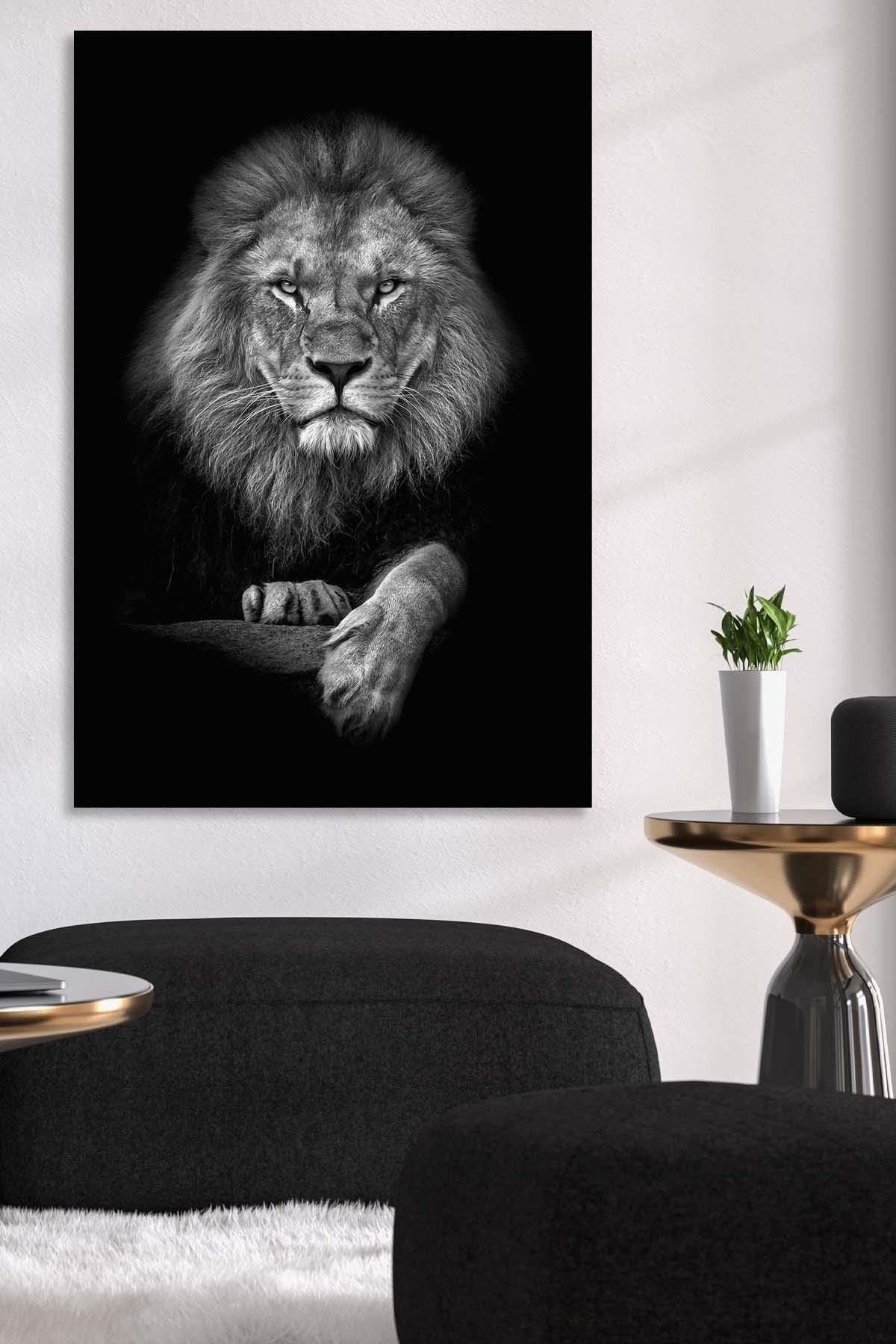 Lion in Black & White | Canvas - DreamBrothers