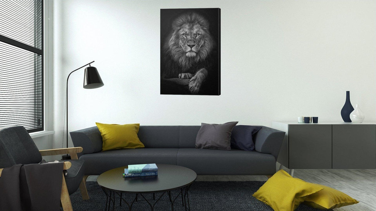 Lion in Black & White | Canvas - DreamBrothers