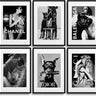 Black & White Fashion Collection | BUNDLE Digitale | Download Istantaneo